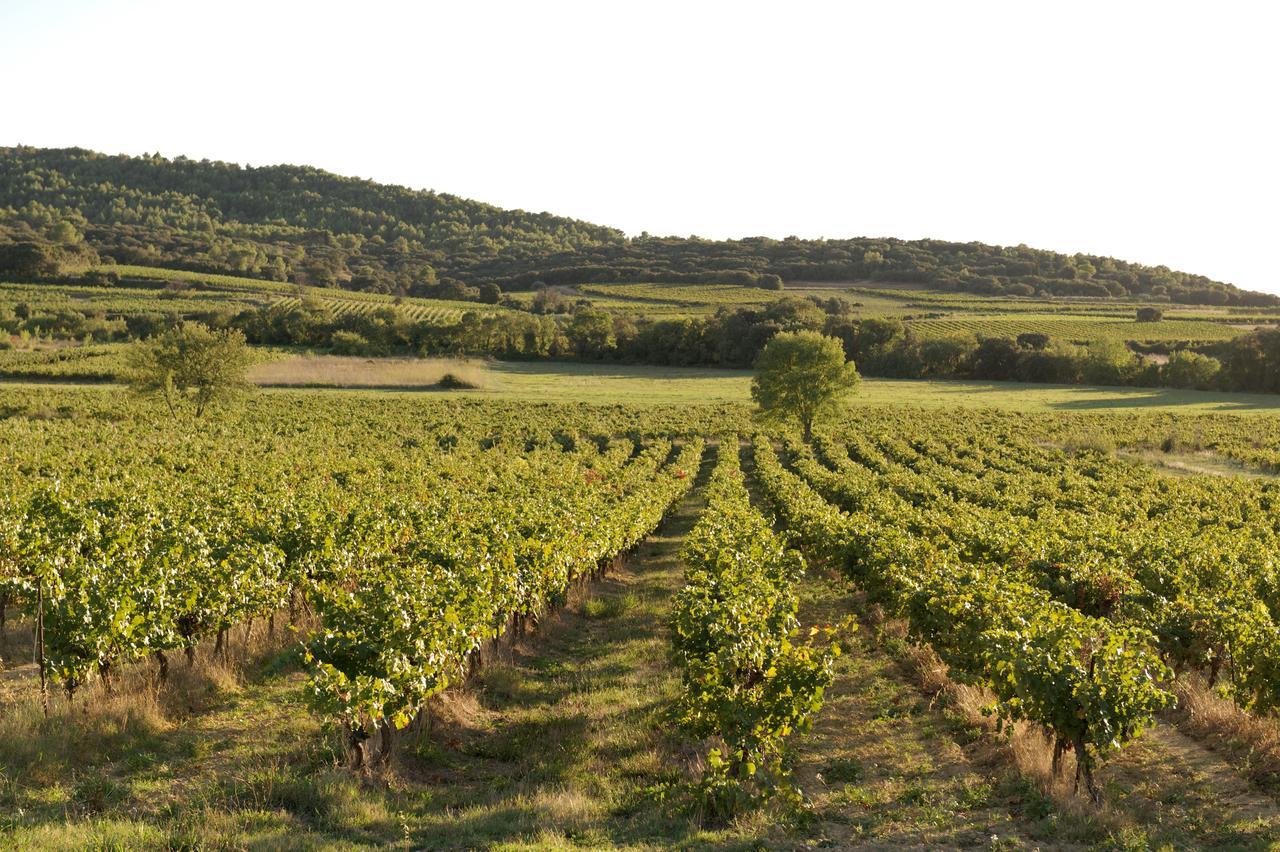 Domaine De Pelican ฌีญัค ภายนอก รูปภาพ