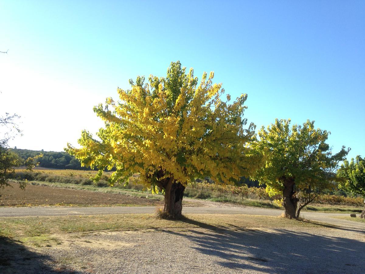 Domaine De Pelican ฌีญัค ภายนอก รูปภาพ