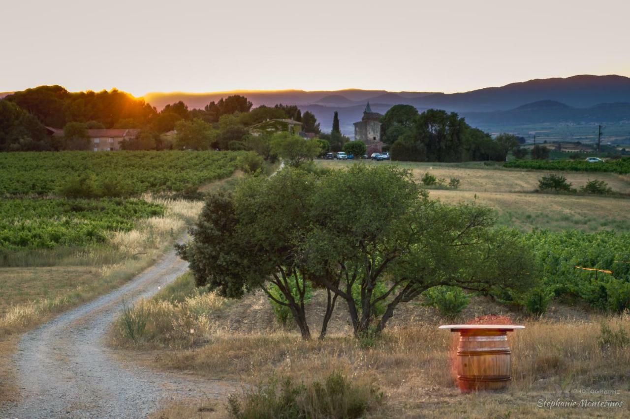 Domaine De Pelican ฌีญัค ภายนอก รูปภาพ